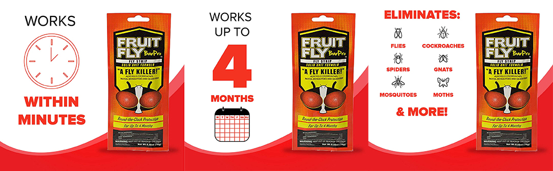 Fruit Fly Control Strips by Bar Pro